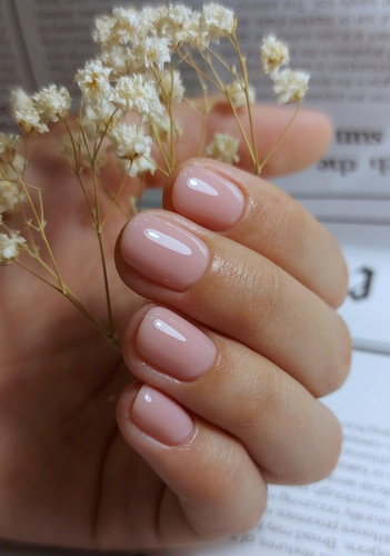 لون شيلاك | Shellac color